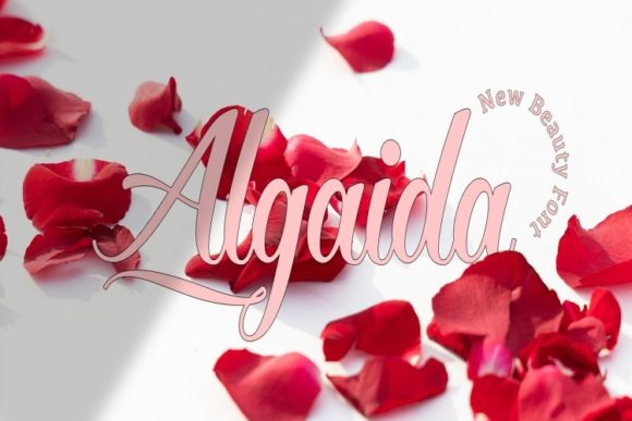 Algaida: A Modern Script Handwritten Font for Elegant Design