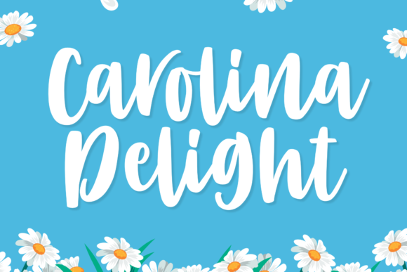Carolina Delight Script Font for Creative Digital Branding