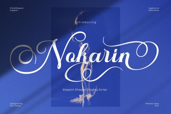 Nokarin Font: Elegant Script Handwritten Fonts for Branding