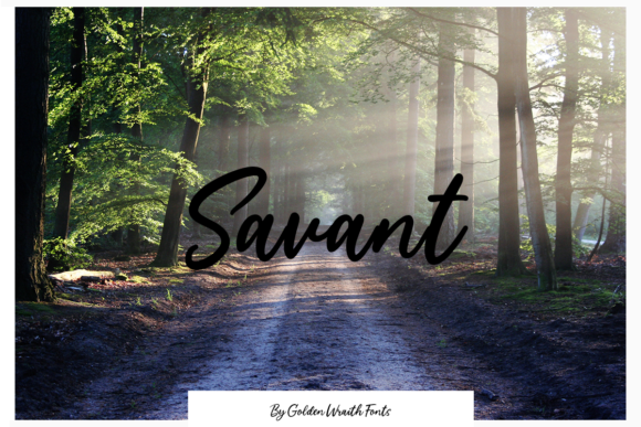 Savant Script Font for Modern Brand Identity